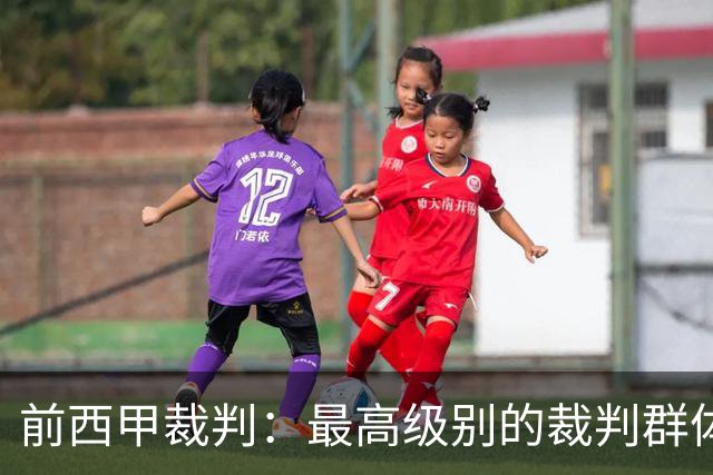 前西甲裁判：最高级别的裁判群体中加泰裁判少是因被“仇恨”