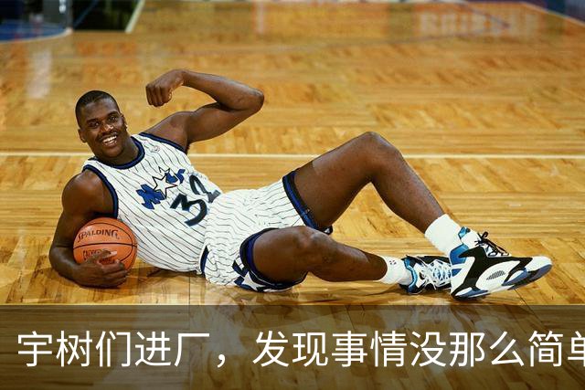 宇树们进厂，发现事情没那么简单