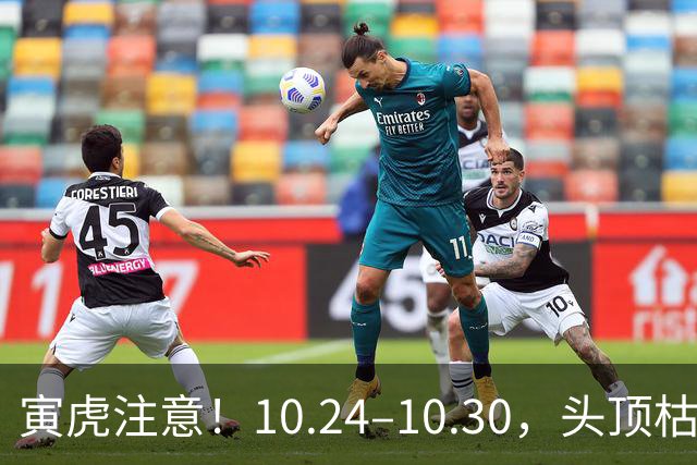 寅虎注意！10.24–10.30，头顶枯藤将断，有贵人伸手拉你一把