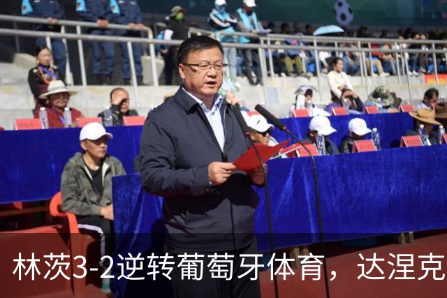 林茨3-2逆转葡萄牙体育，达涅克、卡莱季奇破门