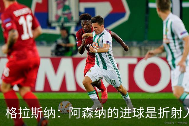 格拉斯纳：阿森纳的进球是折射入网的，否则塞尔斯会将球没收