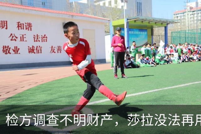 检方调查不明财产，莎拉没法再用“政治迫害”一笔带过