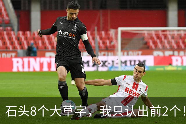 石头8个大草字，我只认出前2个！认全的值得竖大拇指。为何一句草书，常被一个生僻字拦腰截断？