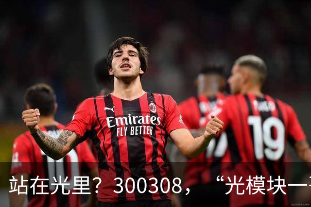 站在光里？300308，“光模块一哥”，Q3净利大增173%，环比增长放缓