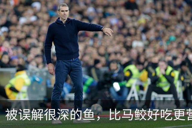 被误解很深的鱼，比马鲛好吃更营养，鱼肉似“千层糕”，我国独有