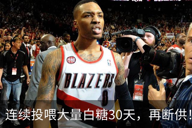 连续投喂大量白糖30天，再断供！国外网红扮“蚂蚁天神”整蛊野生蚁群