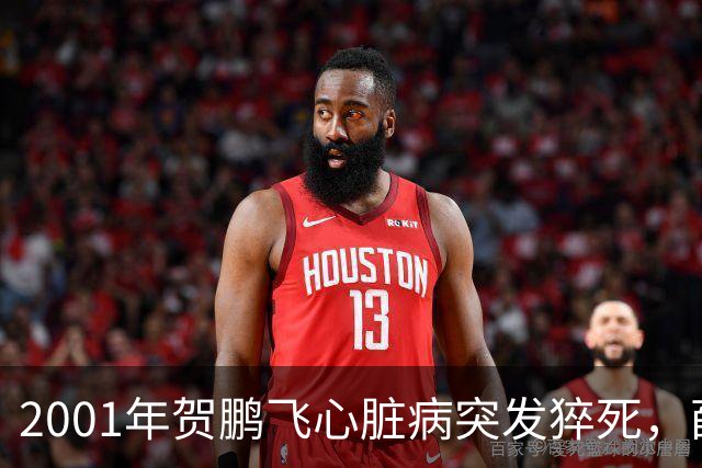 2001年贺鹏飞心脏病突发猝死，薛明盯着遗体发呆反复念着一句话！